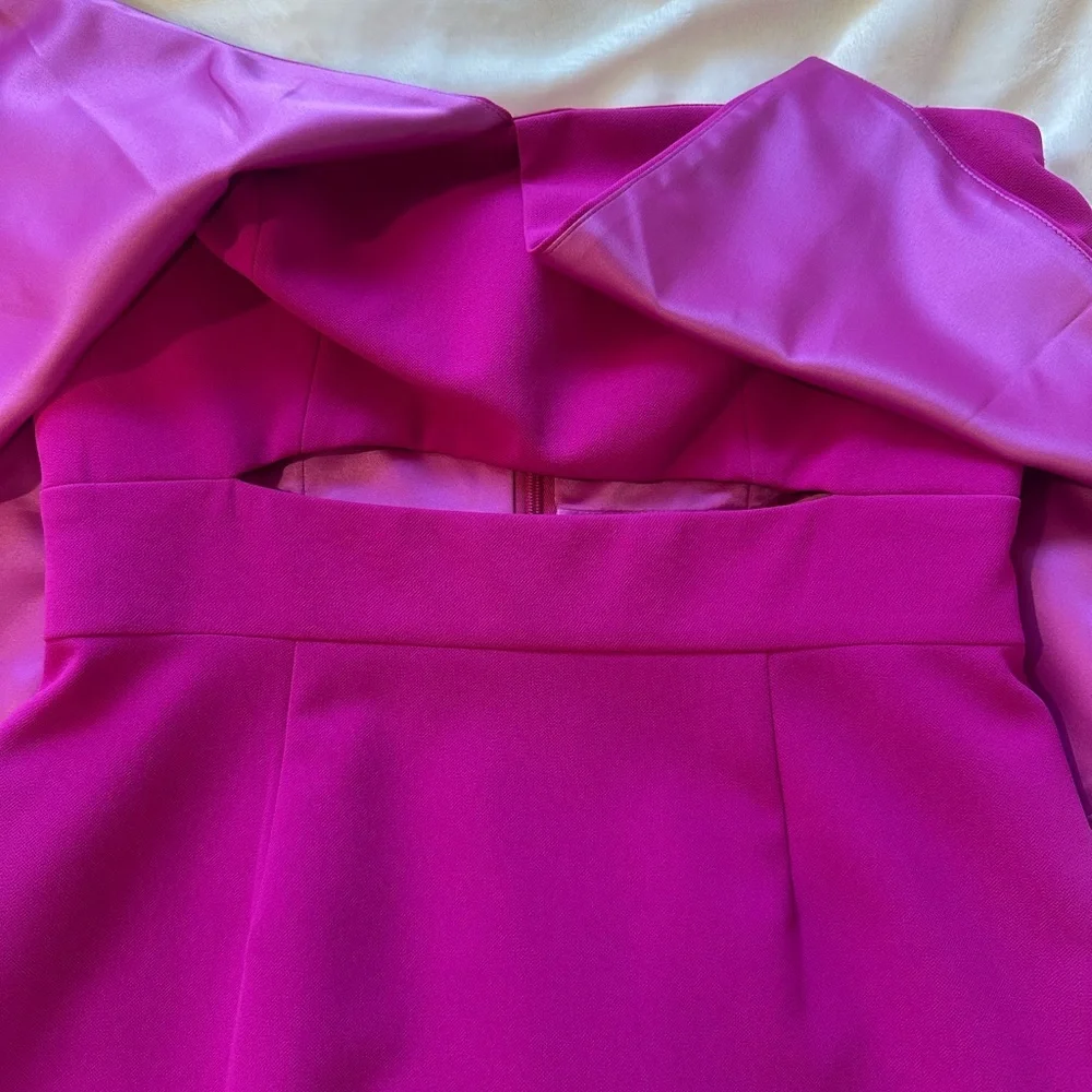 JEYGODFREY FUSCIA MINI DRESS
neverworn - Picture 4 of 9